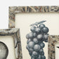 Three art prints from the Corsica Frame Collection with elegant gray marble frames are displayed; the central print highlights a detailed black and white illustration of a grape cluster.
