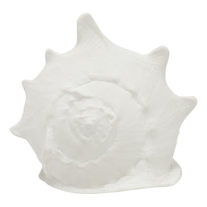 Gian Conch Shell in White Porcelain