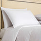 Two Frette Cortina Pillow Inserts, Medium Density are placed on a bed with a matching white comforter, set against a beige headboard with nailhead trim, creating a cozy and elegant look.