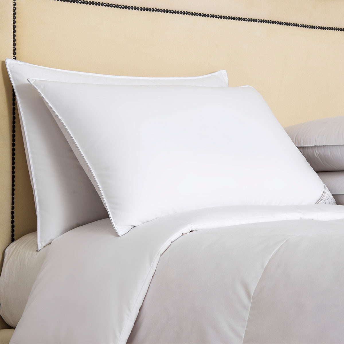 Two Frette Cortina Pillow Inserts, Medium Density are placed on a bed with a matching white comforter, set against a beige headboard with nailhead trim, creating a cozy and elegant look.