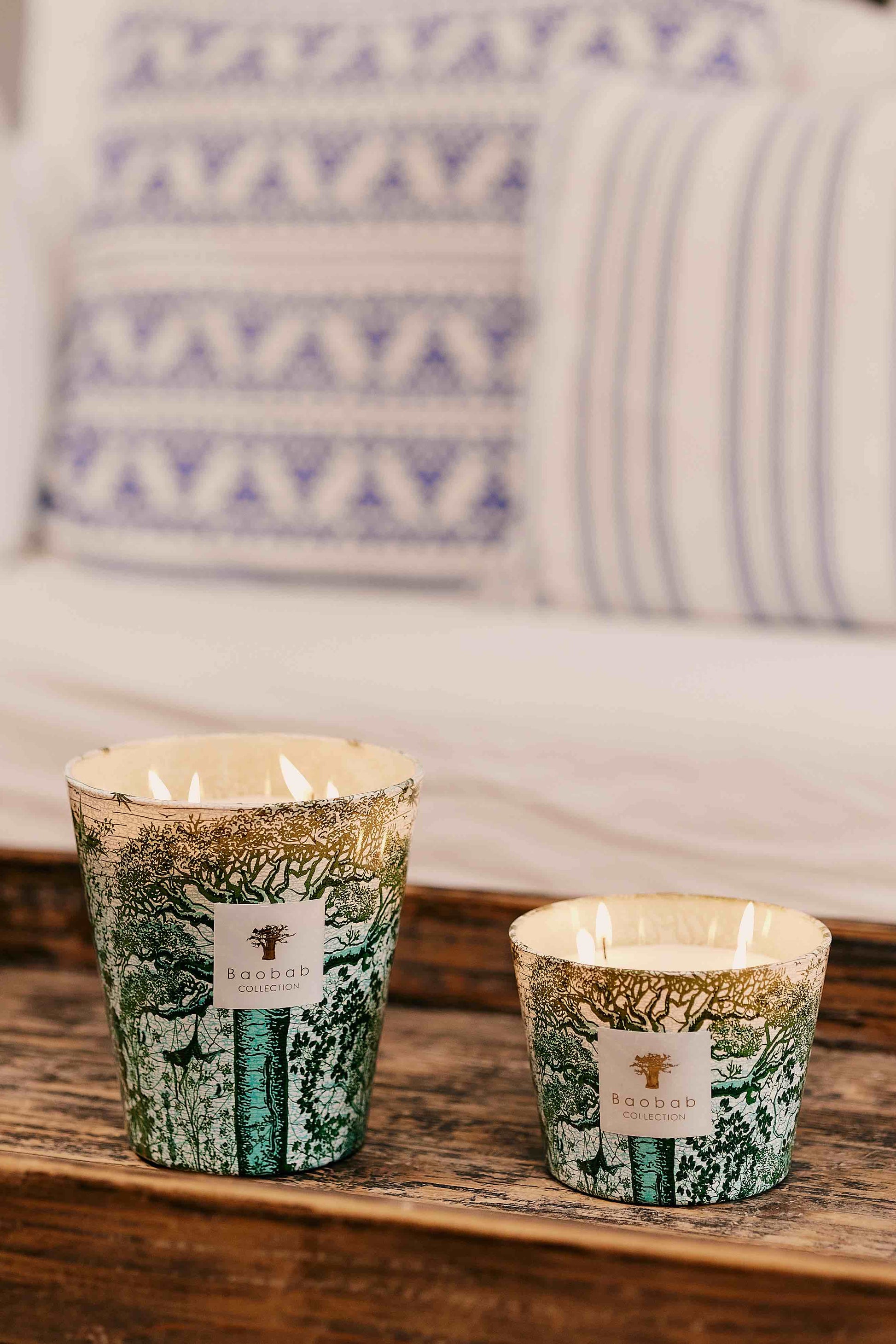 Two Baobab Collection Sacred Trees Kamalo Candles in decorative glass holders infused with cedarwood sit on a wooden surface, with a blurred background of a white couch and patterned cushions.