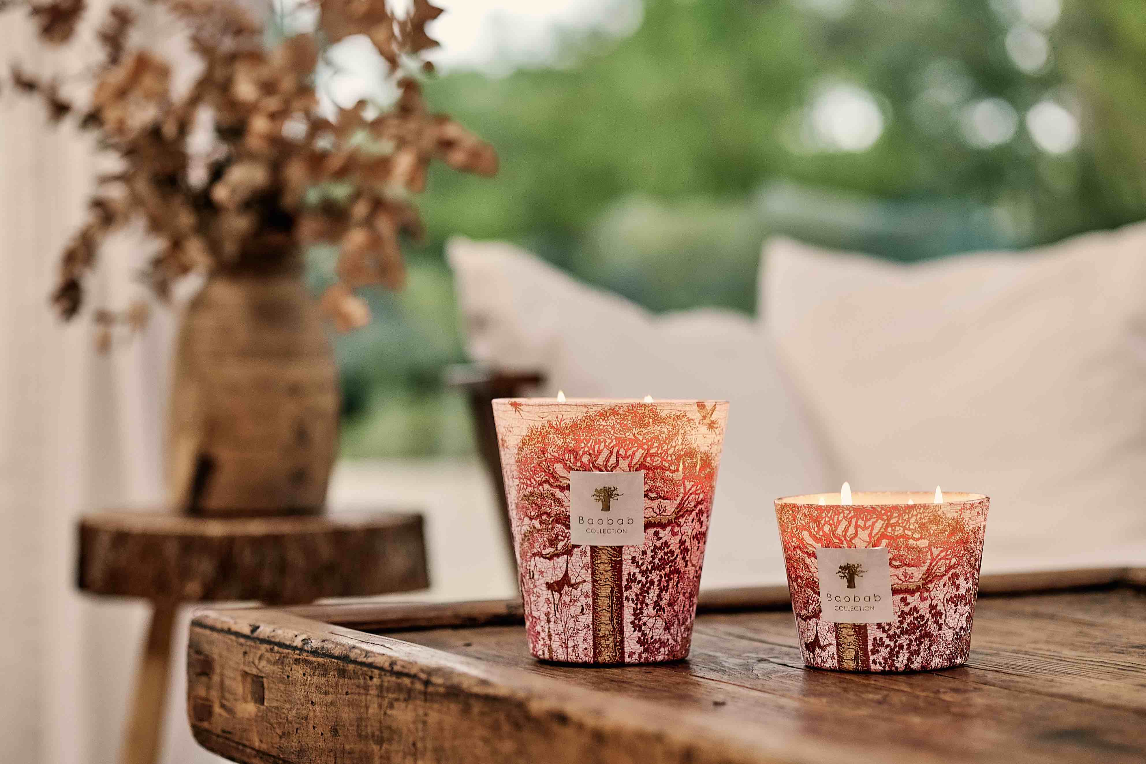 Baobab Collection Sacred Trees Woroba Candle