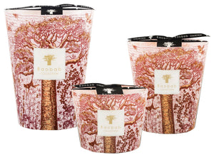 Three Baobab Collection Sacred Trees Woroba Candles of varying sizes, featuring decorative outer designs with tree illustrations and fragrances of green fig and sandalwood.