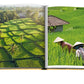 Open book displaying a landscape photo of terraced rice fields on the left page and two individuals wearing traditional hats working in a rice field on the right page, capturing the serene beauty of Bali Mystique.