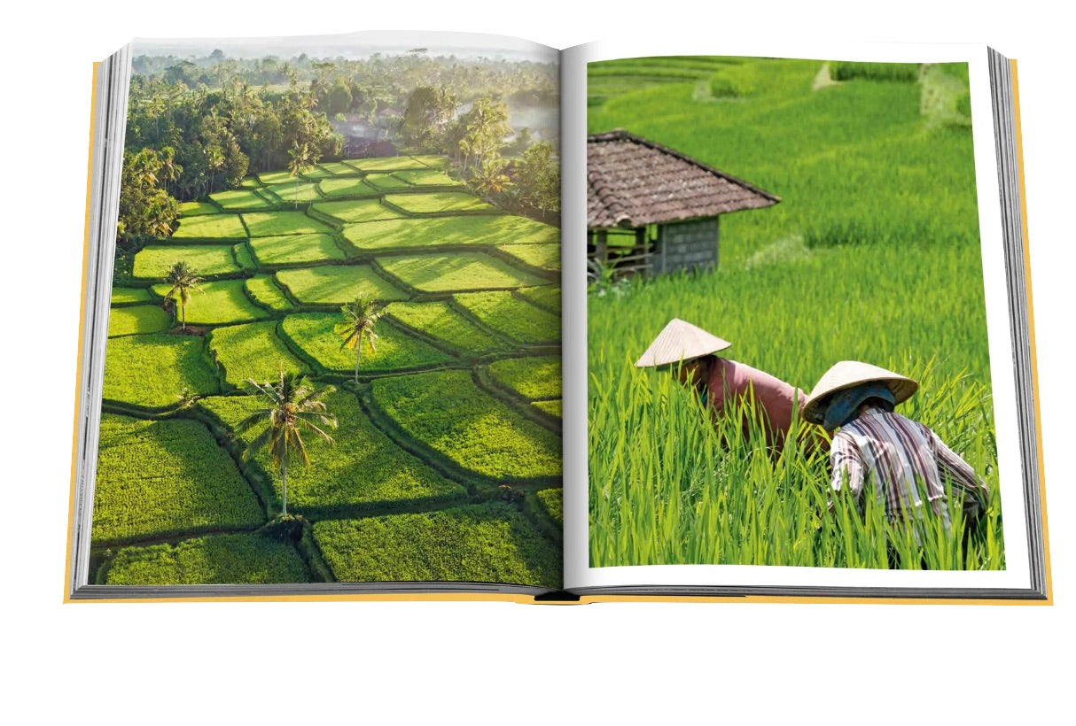 Open book displaying a landscape photo of terraced rice fields on the left page and two individuals wearing traditional hats working in a rice field on the right page, capturing the serene beauty of Bali Mystique.