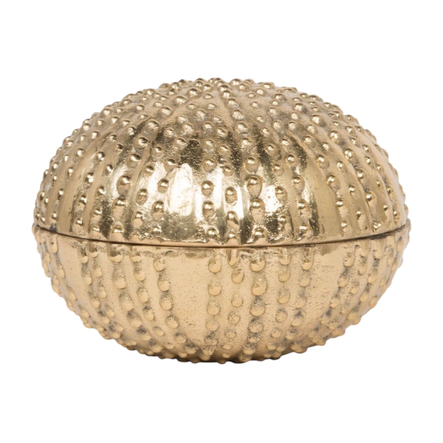 The Obelia Sea Urchin in Gold Brass is a round, dome-shaped box with a hinged lid and textured, dotted pattern inspired by a sea urchin shell, displayed against a white background.