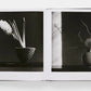 The elegant "Mapplethorpe Flora" book opens to reveal two black-and-white photos of floral arrangements in vases, echoing Robert Mapplethorpe's style, with artful striped shadows across the pages.