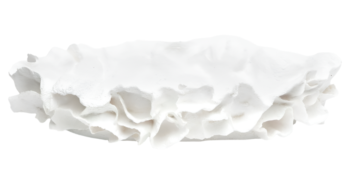 A white, ruffled object resembling a piece of artfully reproduced coral or shell, isolated on a white background: Coco Tray, Large.