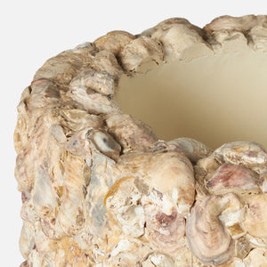 Close-up of the Borsala Oyster Shell Planter, Large, featuring a unique, convex design crafted from natural oyster shells with a textured surface.