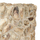 Borsala Oyster Shell Planter, Small