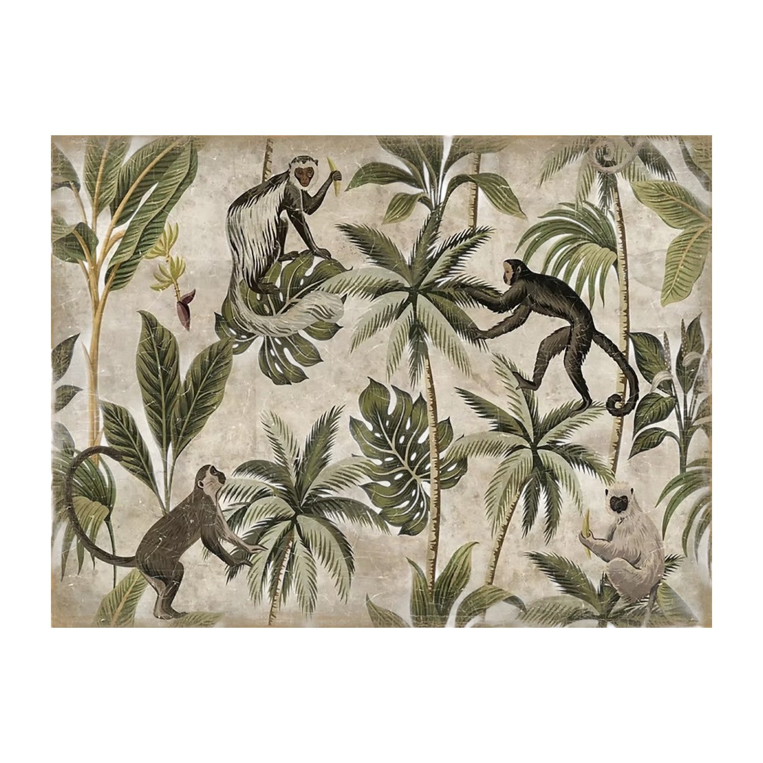 Monkey Business" features four playful monkeys interacting among tropical plants and large green leaves set against a neutral background. This decorative illustration adds charm and warmth to any room, making it the perfect piece of jungle wall art for those looking to bring delightful monkey decor into their space.