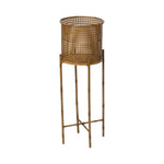 The Roanoke Metal Planter on Stand boasts modern elegance with its tall, gold-colored cylindrical basket on four slim legs and crossbars, all crafted from durable metal.