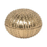 Obelia Sea Urchin in Gold Brass, Small—decorative brass box with a textured surface and raised dots, shown closed with its hinged lid against a white background.