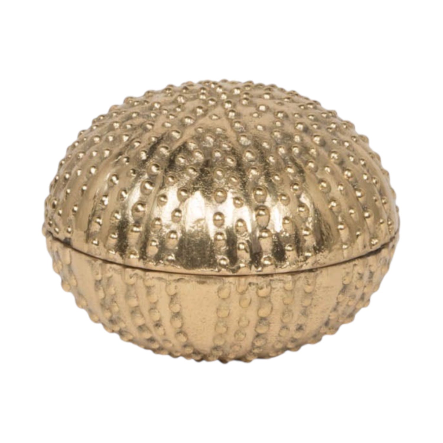 Obelia Sea Urchin in Gold Brass, Small—decorative brass box with a textured surface and raised dots, shown closed with its hinged lid against a white background.