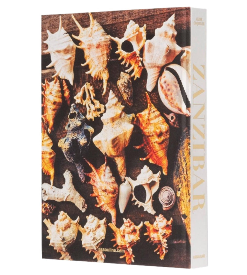 A book titled "Zanzibar" features a captivating cover design with various seashells displayed on a wooden surface, evoking the charm of Stonetown and the richness of Swahili rituals.